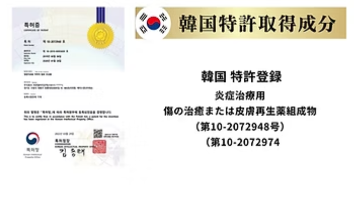 韓国特許取得